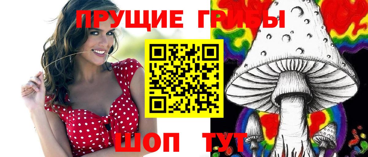 Псилоцибиновые грибы Psilocybe Ливны