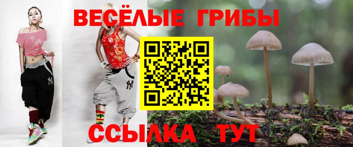 Ливны  Псилоцибиновые грибы GOLDEN TEACHER  купить наркотик  Вход с VPN 